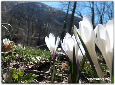 Spring time in Val Pellice